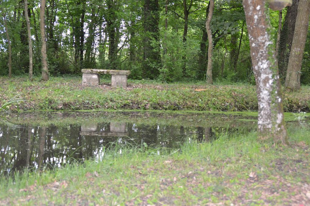 Gite De La Ronceraie Chaumont-sur-Loire Zewnętrze zdjęcie