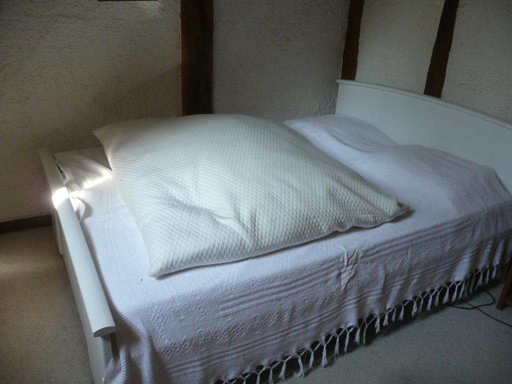 Gite De La Ronceraie Chaumont-sur-Loire Pokój zdjęcie